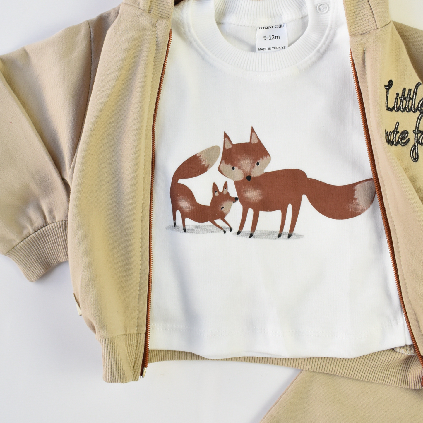 Cute Fox Boys Hoodie Set-4
