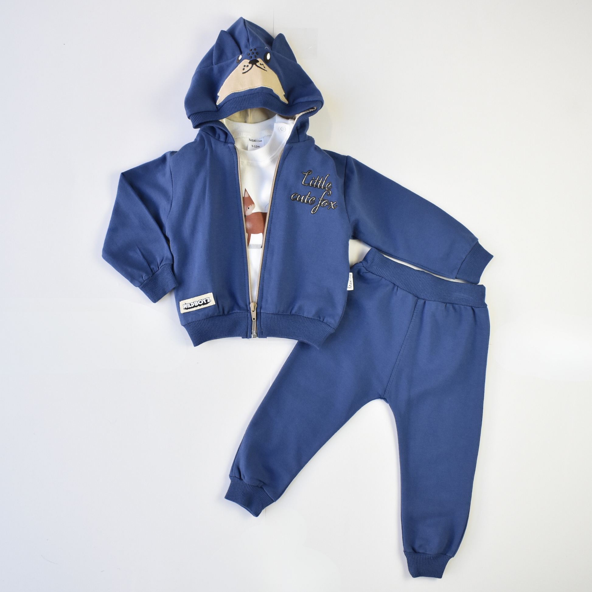 Cute Fox Boys Hoodie Set-0
